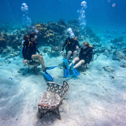 PADI Peak Performance Buoyancy Specialty en Las Terrenas & Samaná