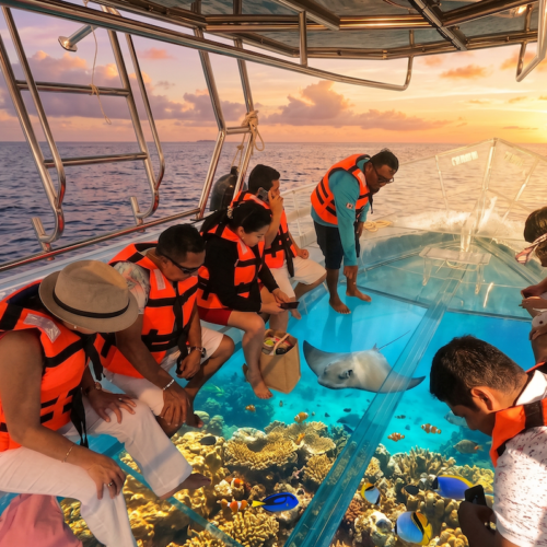 Glass Bottom Boat en Bávaro & Punta Cana