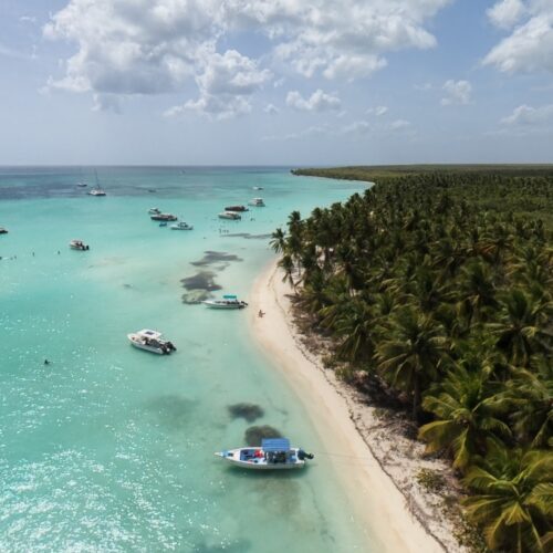 Excursión privada Isla Saona VIP