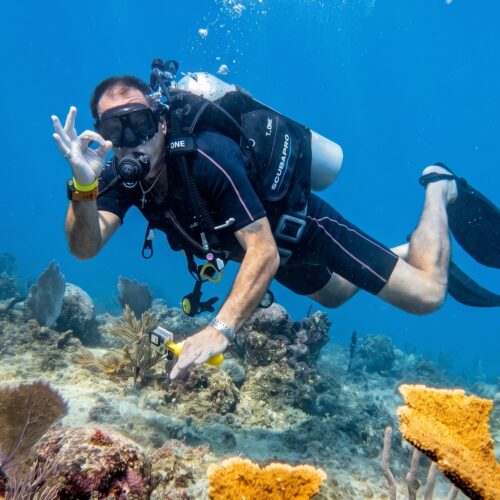 Bayahibe Buceo – Excursión