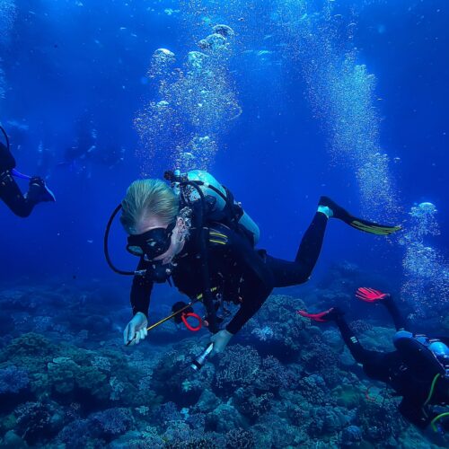 PADI Open Water + Advanced en Las Terrenas & Samaná