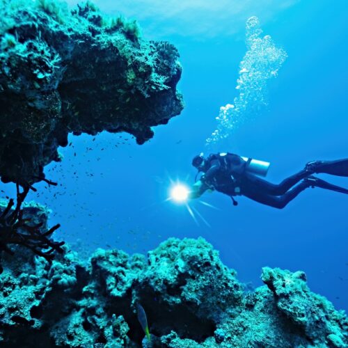 PADI Discover Scuba Diving – Excursión en Bayahibe