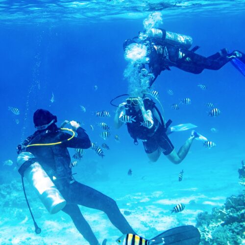 Isla Catalina Buceo – Doble Tanque desde Bávaro & Punta Cana