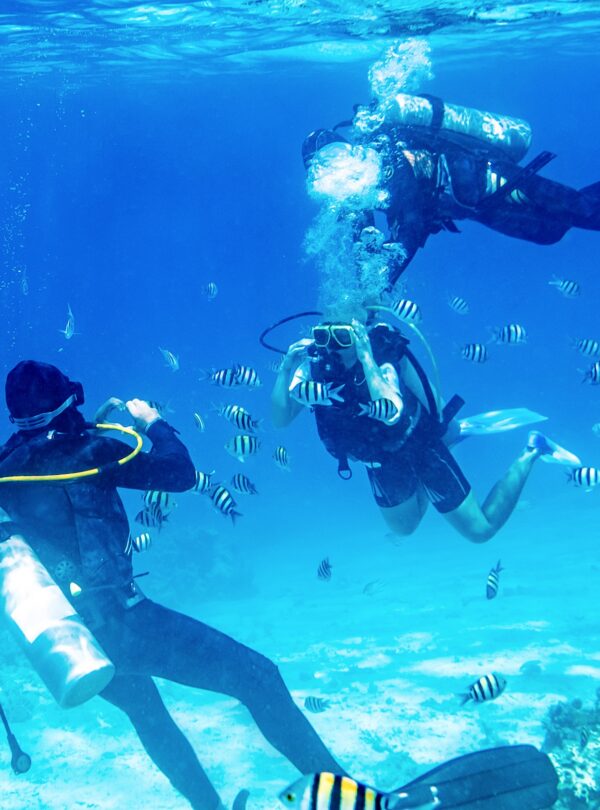 diver swimming underwater near tropical fishes and takes a picture with camera