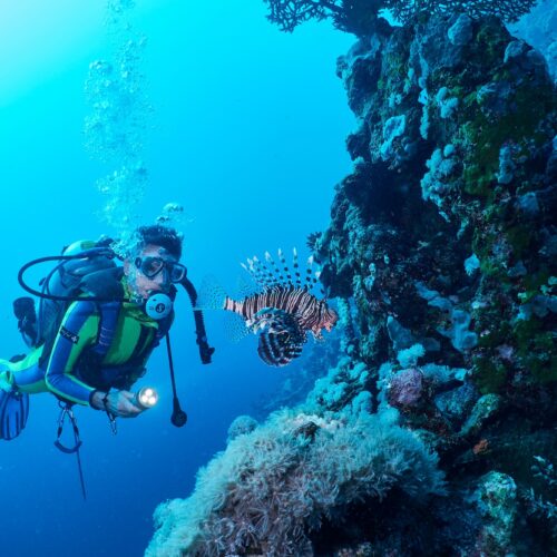 Excursión de buceo Bayahibe desde La Romana