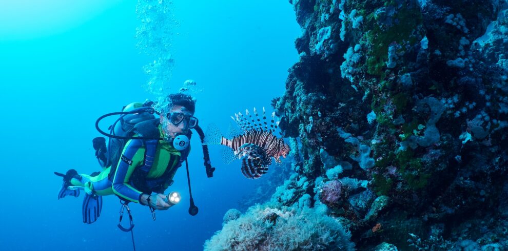 A lion fish and scuba diver in Red Sea, Marsa Alam, Egypt