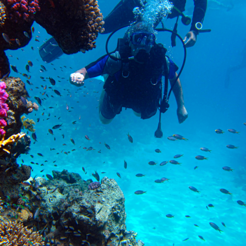 Especialidades PADI en Playa Nueva Romana