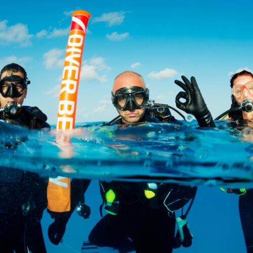 Upgrade DSD → Scuba Diver