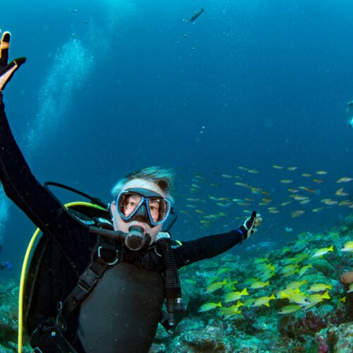 PADI Open Water Diver en República Dominicana