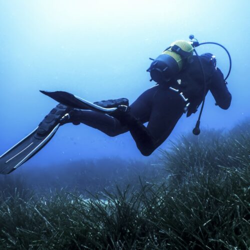 Pack de buceo – Portillo