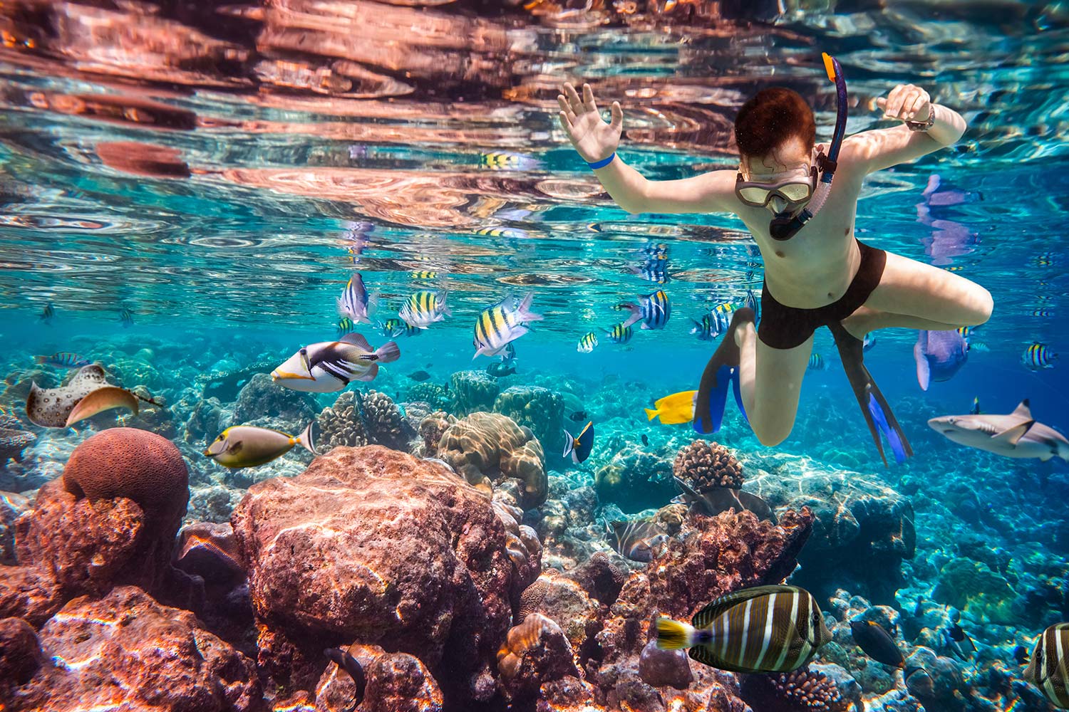 Excursión Isla Catalina – Buceo/Snorkel desde Bayahibe & Dominicus