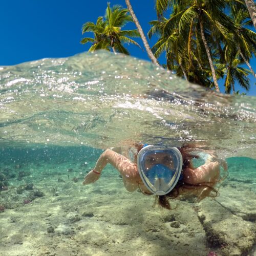 Cayo Levantado – Buceo y snorkel