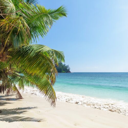 Samaná Rincón