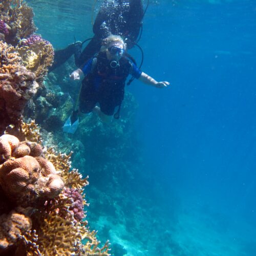 Discover Scuba Diving Catalina