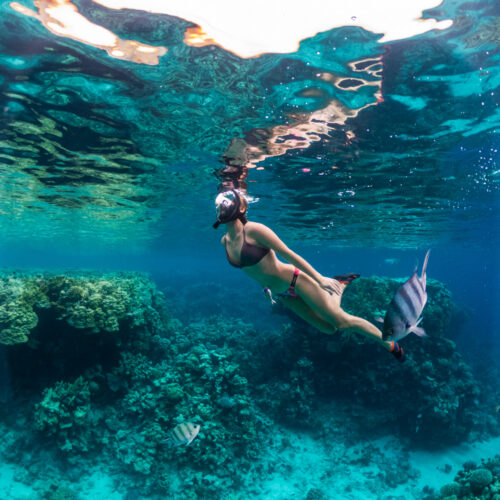 Snorkel Local en República Dominicana